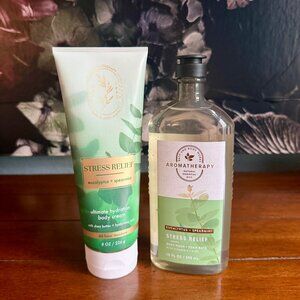 NEW 2-Pc Eucalyptus+Spearmint Body Cream & Body Wash Full Size Bath & Body Works